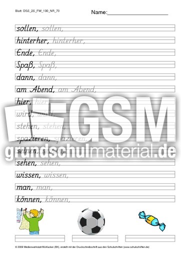 DSS_2S_FW_100_NR_70.pdf